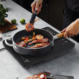 Tabletop Portable 2000W Single Burner Induction Cooker