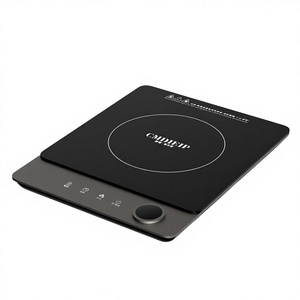 2000W Ultra Slim Waterproof Single Burner Portable Induction Cooker