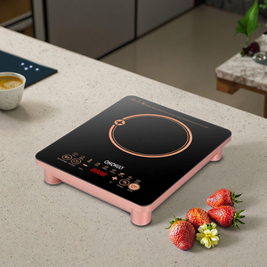 2.2KW Smart Timing Battery Powered Induction Wok Cooker